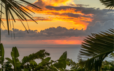 Idée de sortie à faire sur l’île de la Réunion
