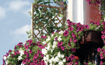 Déco : Le jardinage la nouvelle passion des citadins